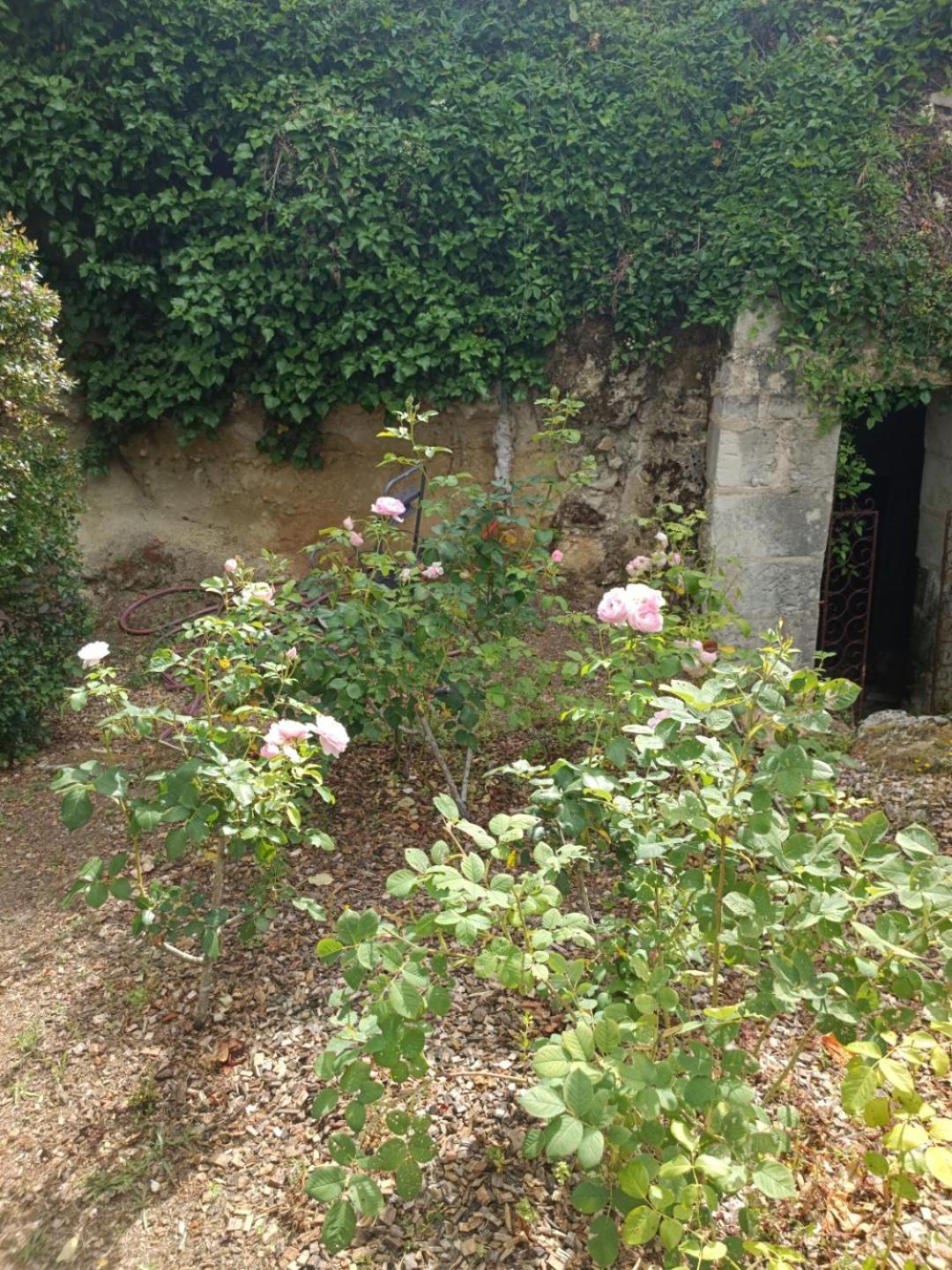 Chambres D'Hotes Manoir De Montecler Chènehutte-les-Tuffeaux Exterior foto